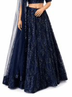 Midnight Elegance Lehenga Set - Image 3