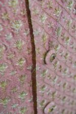 Elegant Dusty Rose Pink Sherwani Set - Image 4